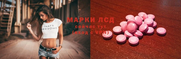 прущие грибы Осташков
