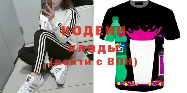прущие грибы Осташков