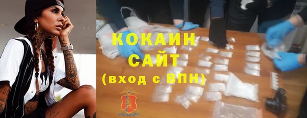 прущие грибы Осташков