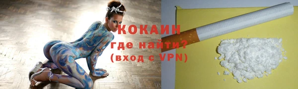 прущие грибы Осташков