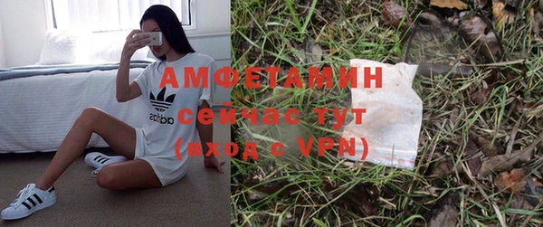 ГАЛЛЮЦИНОГЕННЫЕ ГРИБЫ Бикин