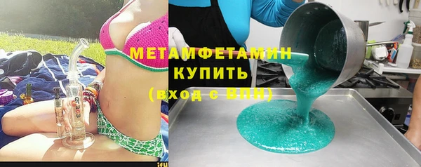 прущие грибы Осташков