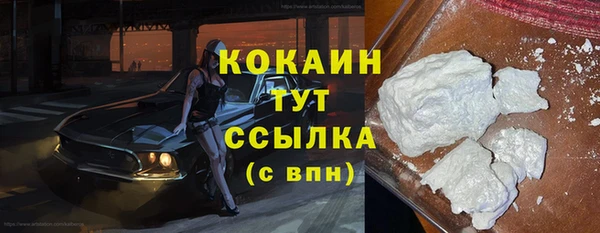 прущие грибы Осташков