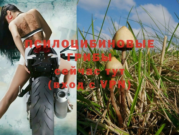каннабис Осинники