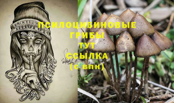 прущие грибы Осташков