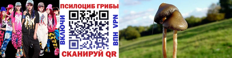 Псилоцибиновые грибы Psilocybine cubensis Шумиха